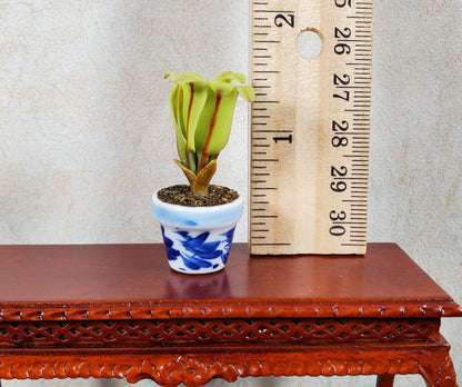Dollhouse Broadleaf Fern in Blue & White Ceramic Pot 1:12 Scale