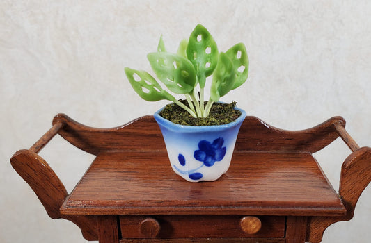 Dollhouse Potted Lace Plant in Blue & White Planter 1:12 Scale Miniature