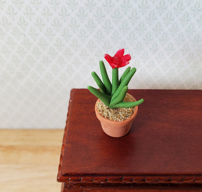 Dollhouse Flowering Spiky Cactus Plant in a Terra Cotta Pot 1:12 Scale Miniature