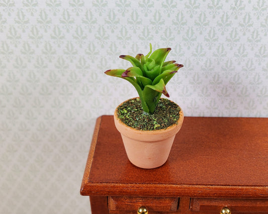 Dollhouse Plant Red Tipped Bromeliad 1:12 Scale Miniature Houseplant