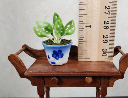 Dollhouse Potted Lace Plant in Blue & White Planter 1:12 Scale Miniature