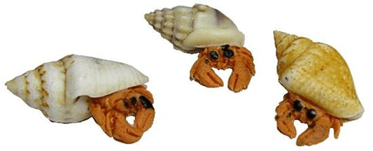 Dollhouse Hermit Crabs Set of 3 1:12 Scale Miniatures Pets Animals
