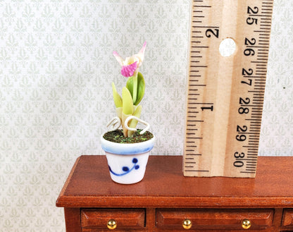Dollhouse Pink and White Orchid in a Blue & White Ceramic Pot 1:12 Scale