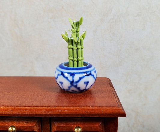Dollhouse Lucky Bamboo Plant Plant in Blue & White Pot 1:12 Scale Houseplant