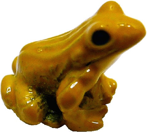 Dollhouse Tiny Golden Frog Fairy Garden Accessory Diorama Animals Pets