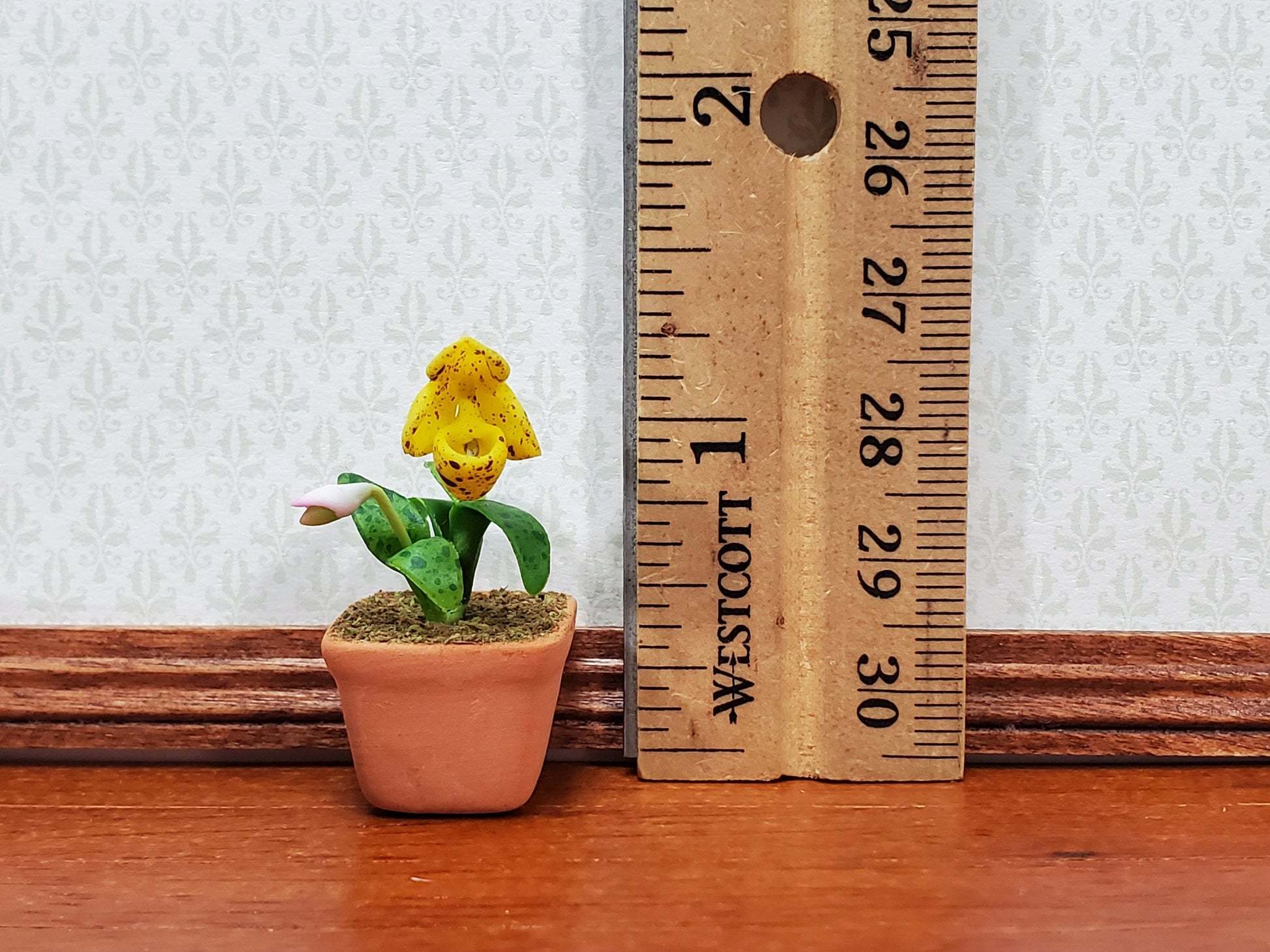 Dollhouse Cup Orchid Yellow Plant in Terra Cotta Planter 1:12 Scale Miniature