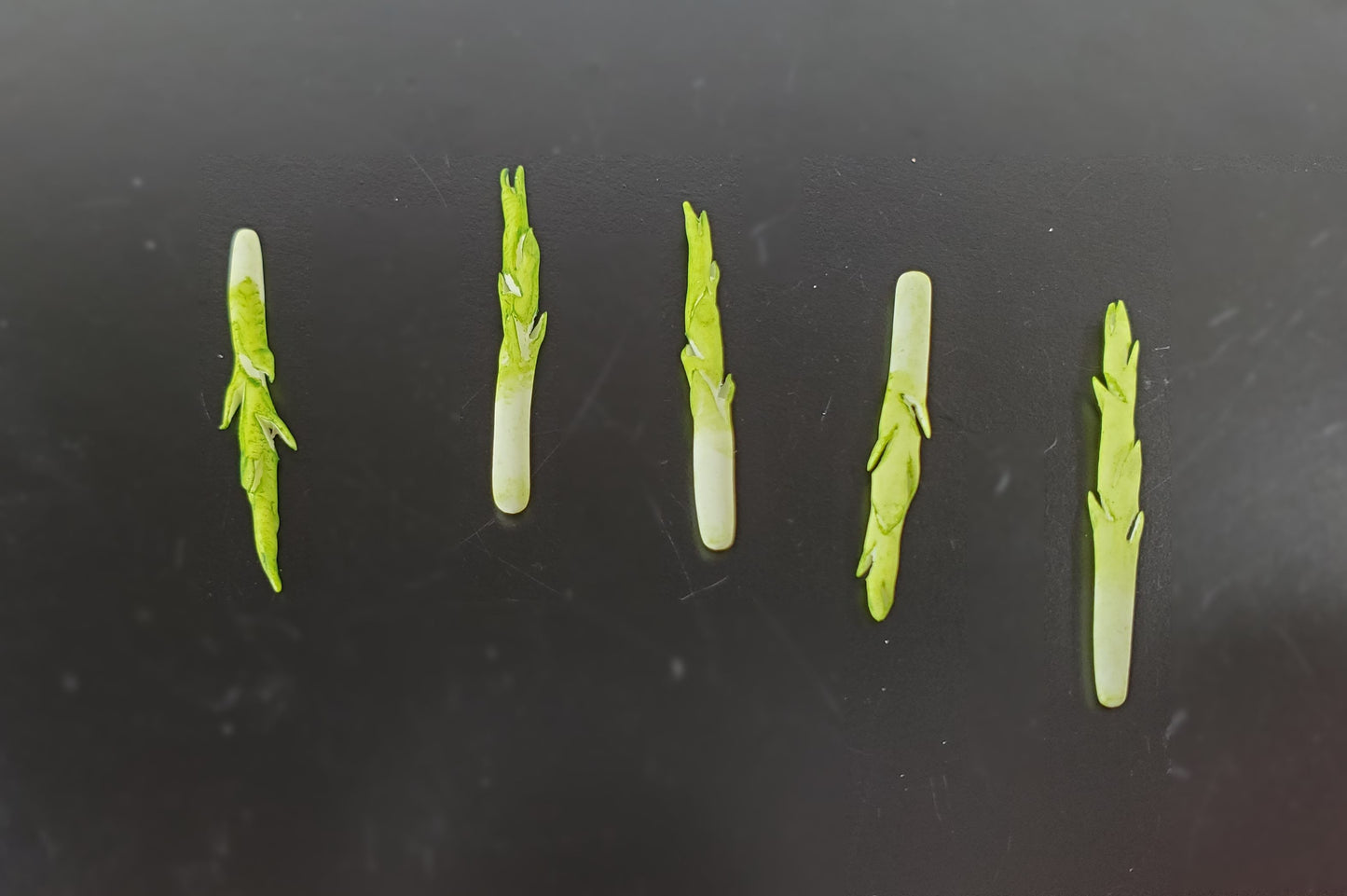 Dollhouse Asparagus Spikes 5 Pieces 1:12 Scale Miniature Food Vegetables