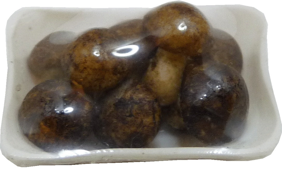 Dollhouse Mushrooms Wrapped 1:12 Scale Miniature Food Kitchen Groceries