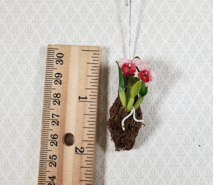 Dollhouse Hanging Orchid on Bark with Moss Pink Flowering Plant 1:12 Scale