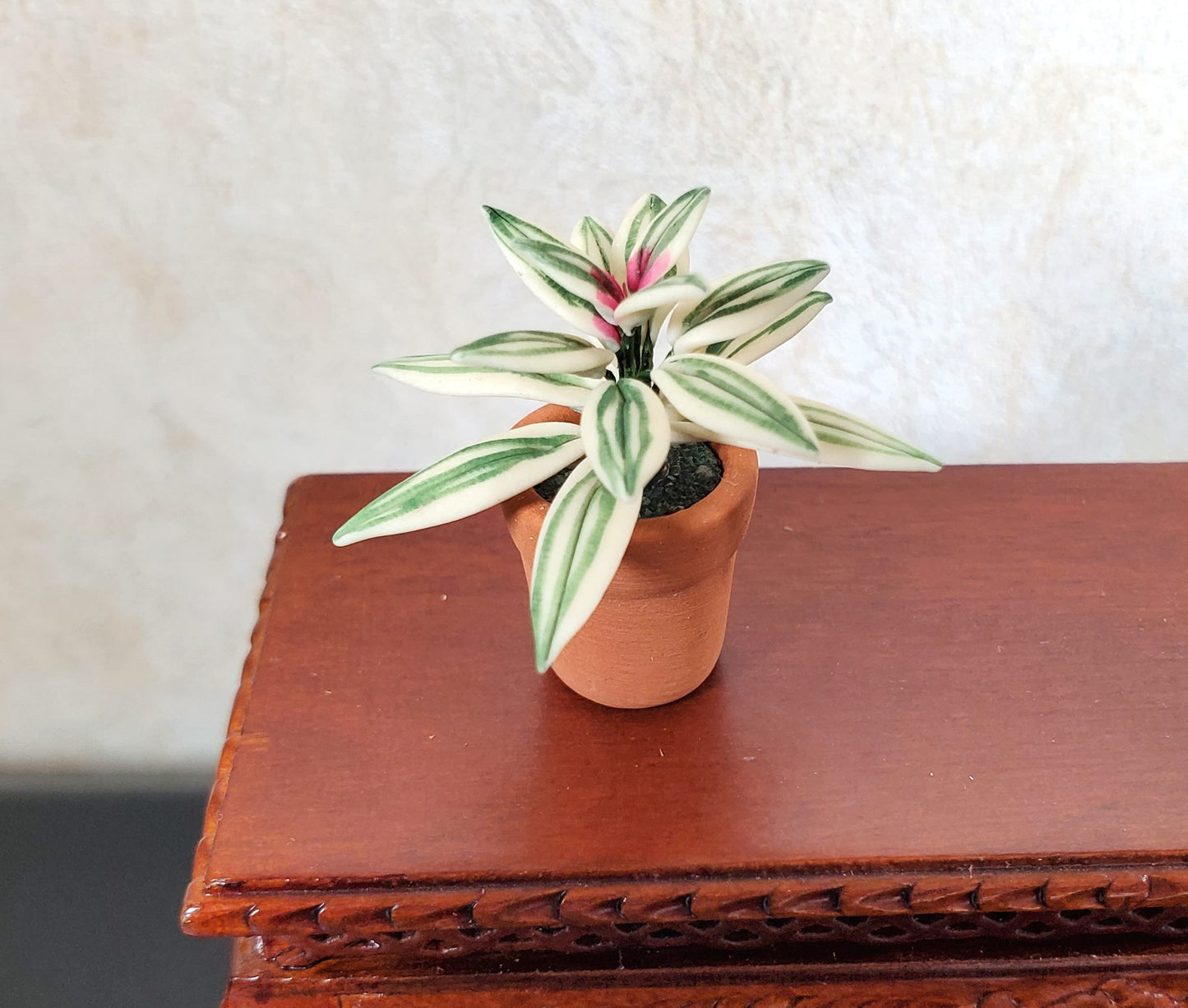 Dollhouse Blushing Bromeliad Variegated Plant in Terra Cotta Pot 1:12 Scale