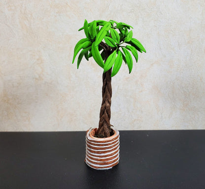 Dollhouse Potted Palm Tree with Braided Trunk 1:12 Scale Miniature Houseplant