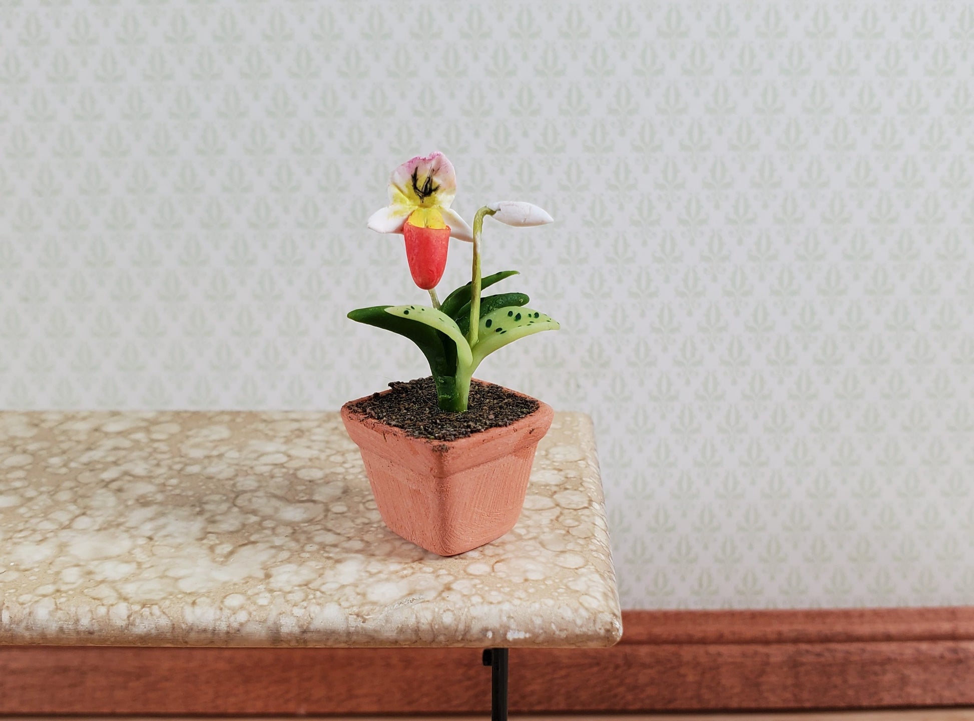Dollhouse Slipper Orchid Plant in Terra Cotta Planter 1:12 Scale Miniature
