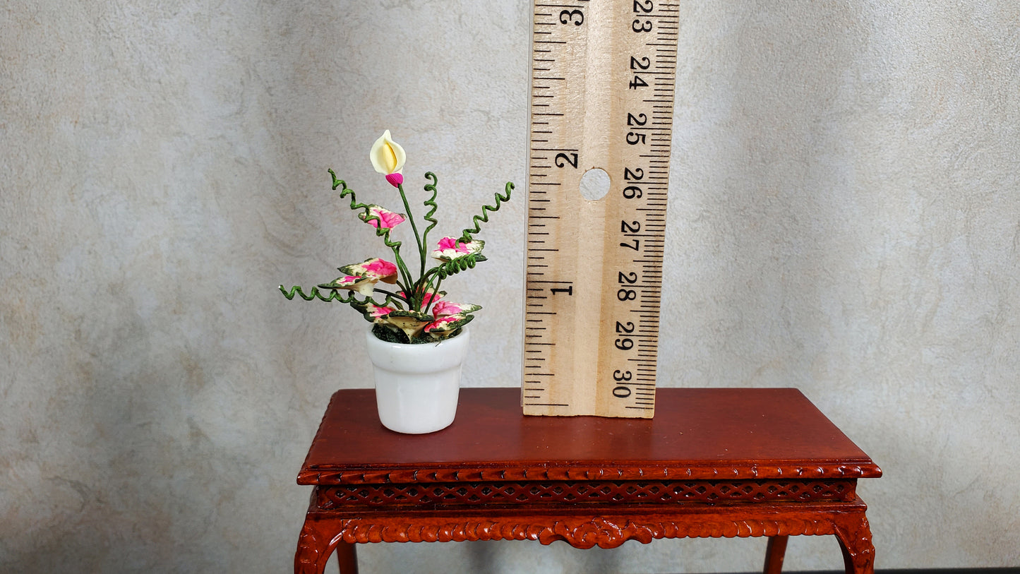 Dollhouse Caladium with Bud Variegated Leaves in White Pot 1:12 Scale Miniature