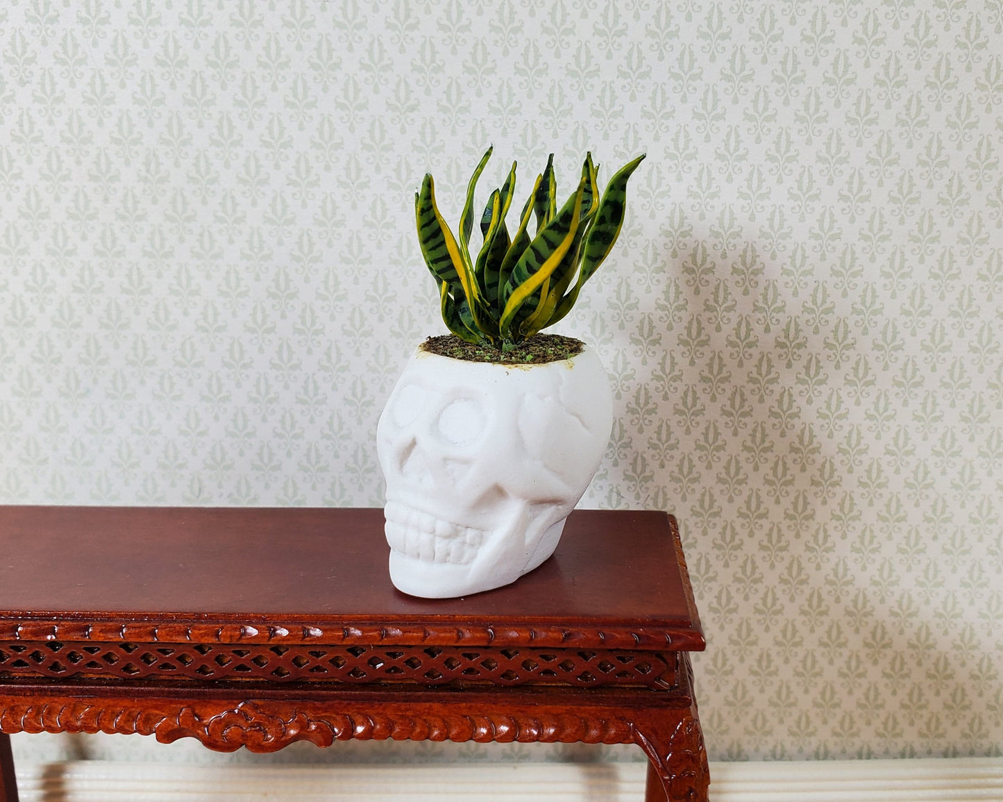 Dollhouse Snake Plant in a Large White Skull Planter Pot 1:12 Scale Halloween