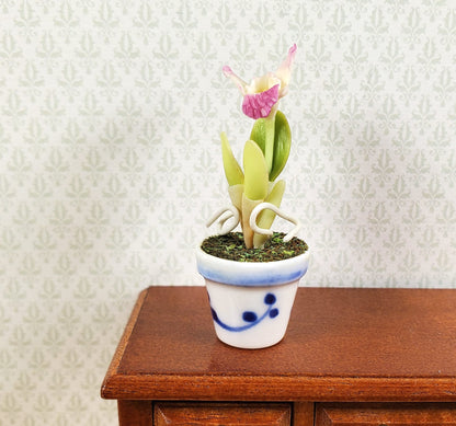 Dollhouse Pink and White Orchid in a Blue & White Ceramic Pot 1:12 Scale