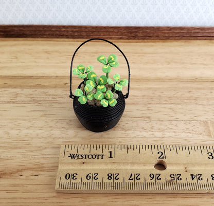 Miniature Clovers Shamrocks 4 Leaf in Cauldron Style Pot 1:12 Scale Dollhouse