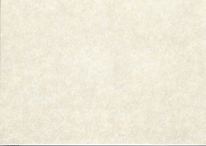 Dollhouse Beige Wallpaper 3 Pieces 10 1/2 "x 21" Slightly Textured Thick