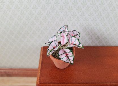 Dollhouse Houseplant Caladium Potted Plant 1:12 Scale Miniature Terra Cotta Pot