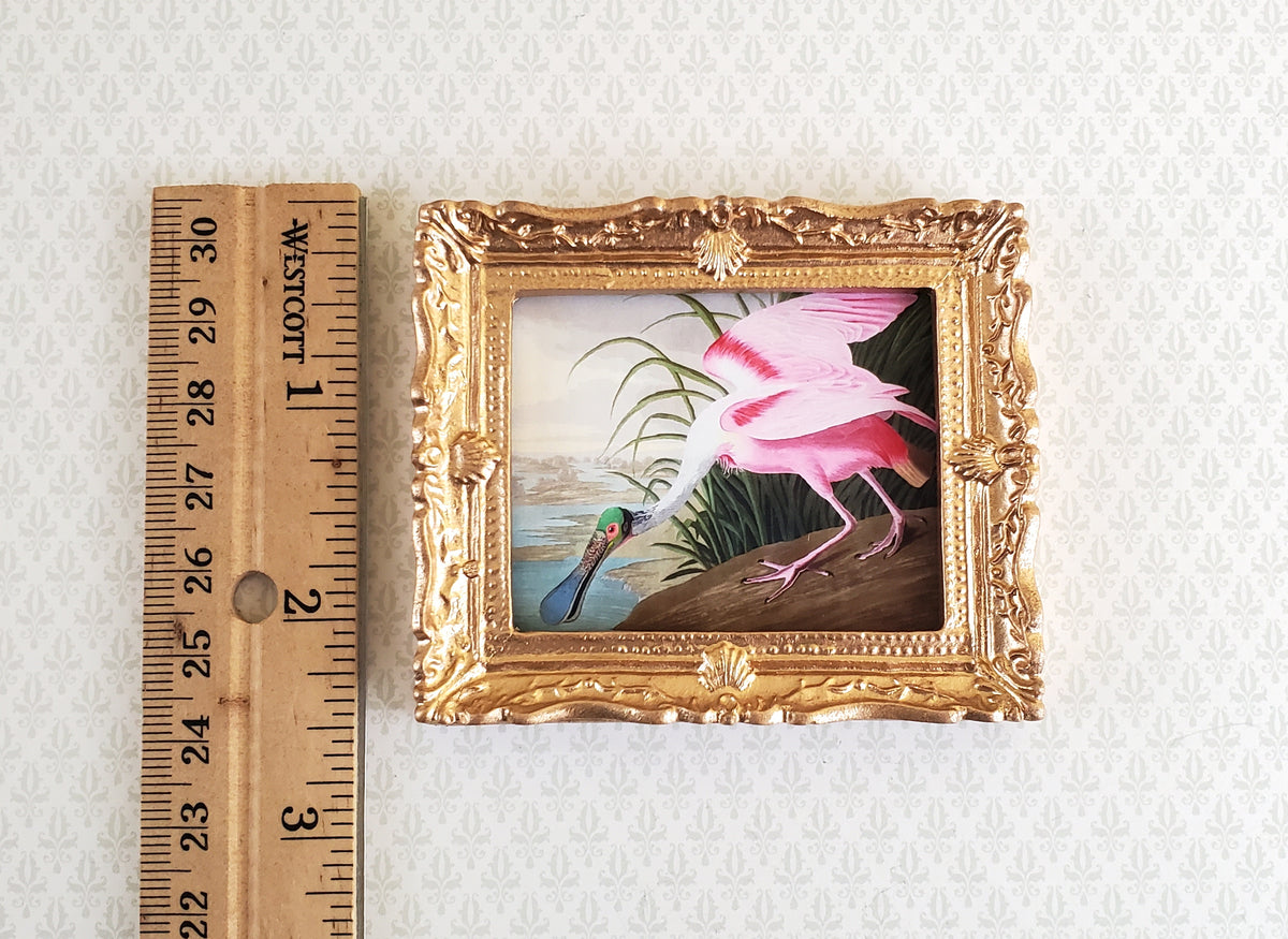 Miniature Framed Bird Print Roseate Spoonbill John James Audubon 1:12 Scale