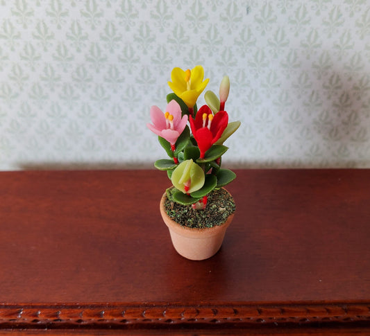 Dollhouse Multi Color Crocus Plant in a Terra Cotta Pot 1:12 Scale Miniature