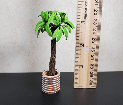 Dollhouse Potted Palm Tree with Braided Trunk 1:12 Scale Miniature Houseplant