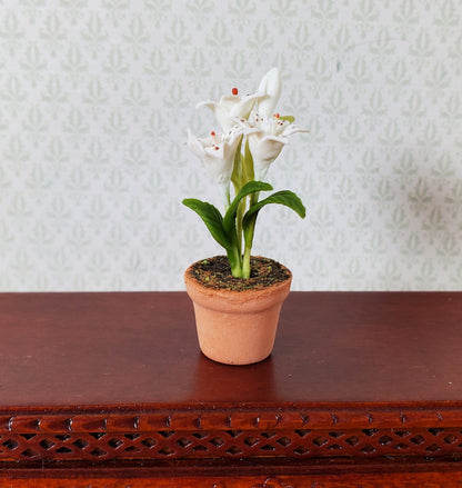 Dollhouse Small White Lily in a Terra Cotta Pot 1:12 Scale Miniature Flowers