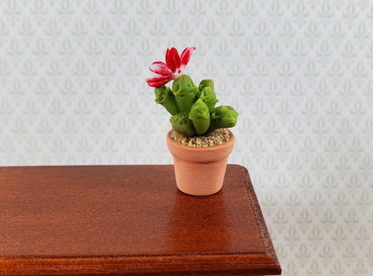 Dollhouse Cactus Plant with Flower in a Terra Cotta Planter 1:12 Scale Miniature - Miniature Crush