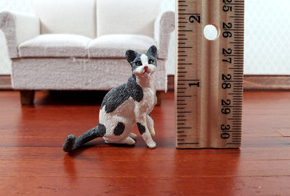 Dollhouse Cat Gray and White Sitting 1:12 Scale (Large) Miniature Kitty Pet - Miniature Crush