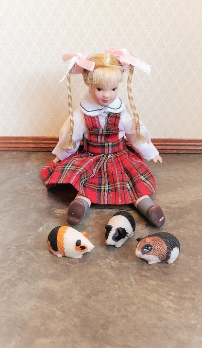 Dollhouse Miniature Guinea Pigs Set of 3 1:12 Scale Pet Black White Brown Orange - Miniature Crush