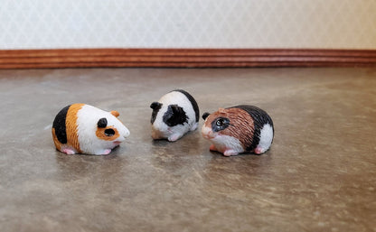 Dollhouse Miniature Guinea Pigs Set of 3 1:12 Scale Pet Black White Brown Orange - Miniature Crush