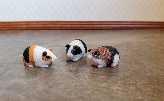 Dollhouse Miniature Guinea Pigs Set of 3 1:12 Scale Pet Black White Brown Orange - Miniature Crush
