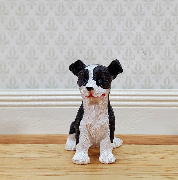 Dollhouse Puppy Dog Border Collie Sitting 1:12 Scale Miniature Pet