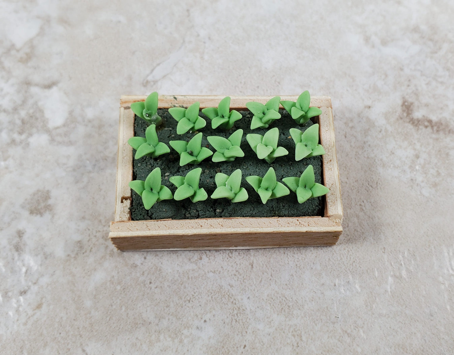 Dollhouse Green Seedlings in a Rectangular Wood Tray 1:12 Scale Miniature