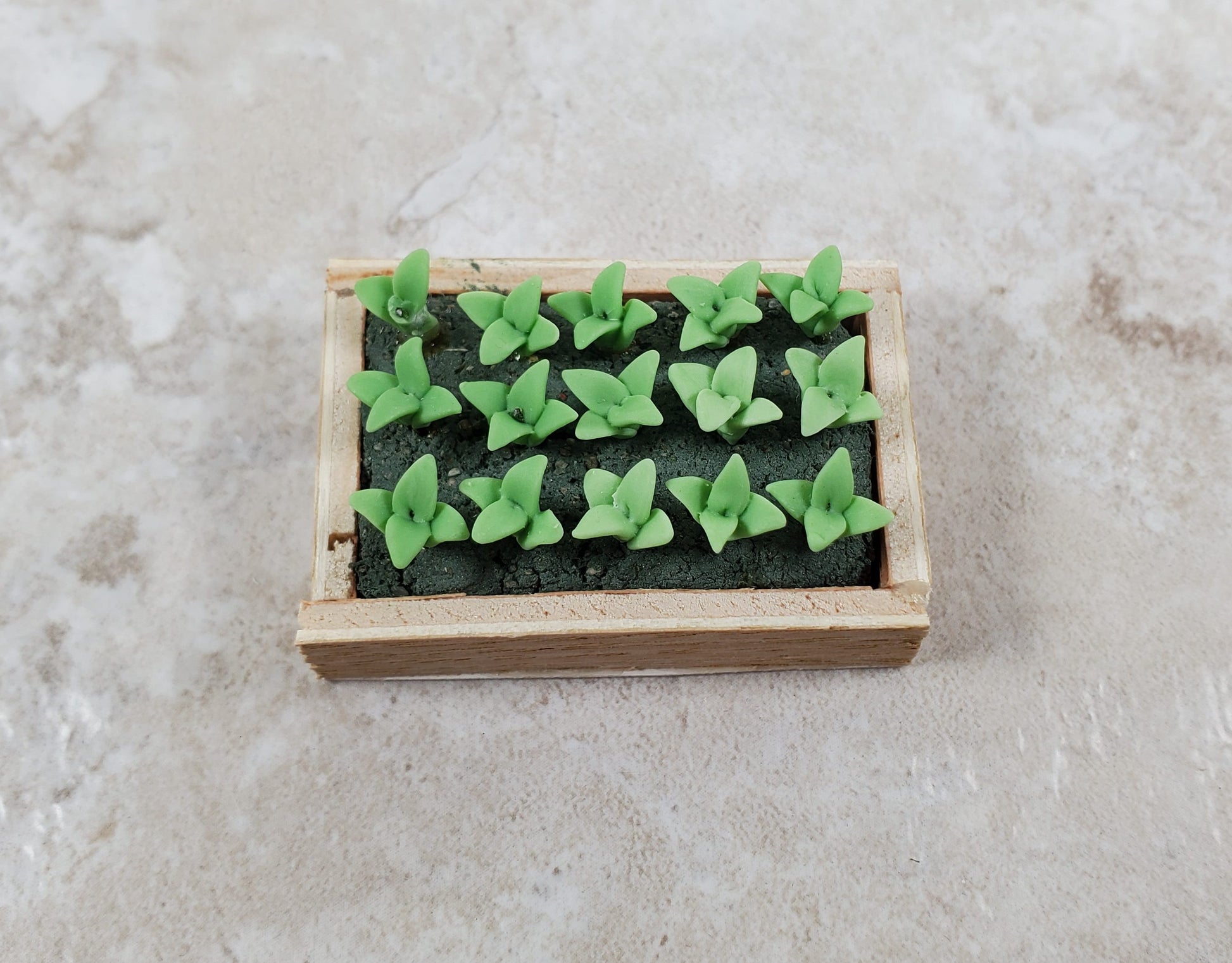 Dollhouse Green Seedlings in a Rectangular Wood Tray 1:12 Scale Miniature