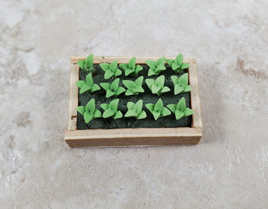 Dollhouse Green Seedlings in a Rectangular Wood Tray 1:12 Scale Miniature