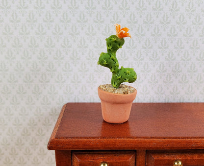 Dollhouse Flowering Cactus Plant in a Terra Cotta Pot 1:12 Scale Miniature