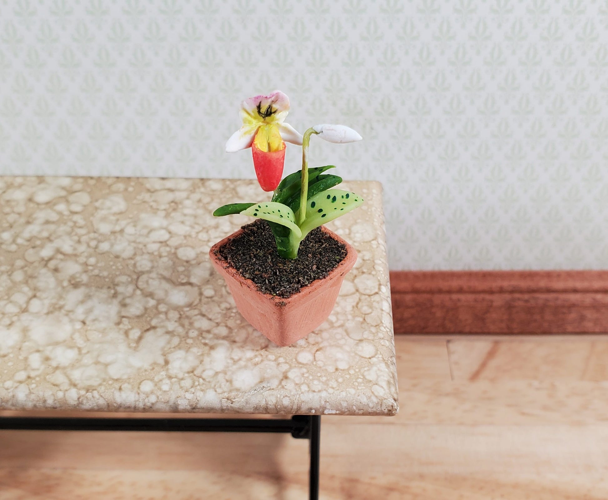 Dollhouse Slipper Orchid Plant in Terra Cotta Planter 1:12 Scale Miniature