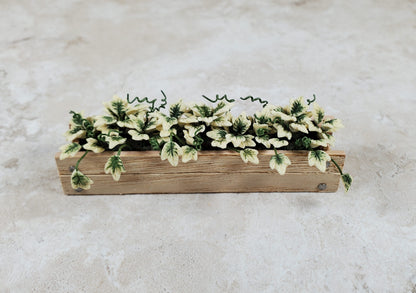 Dollhouse English Ivy in a 3.25" Wooden Window Box Planter 1:12 Scale Miniature