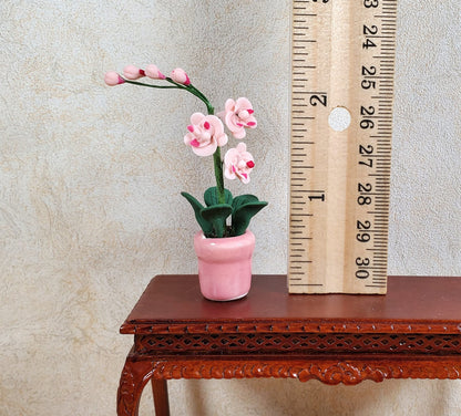 Dollhouse Miniature Pink Phalaenopsis Orchid in a Pink Ceramic Pot 1:12 Scale