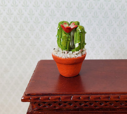 Dollhouse Flowering Cactus Plant in a Terra Cotta Planter 1:12 Scale Miniature
