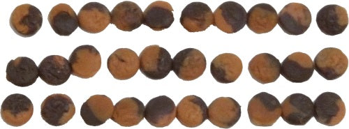 Dollhouse Chocolate Dipped Cookies 1:12 Scale Miniature Food Treats Bakery