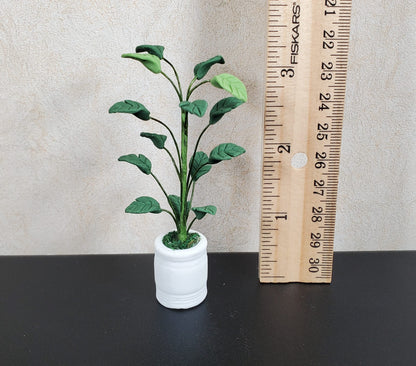 Dollhouse Tall Potted Medium Leaf Palm in a White Clay Pot 1:12 Scale Miniature