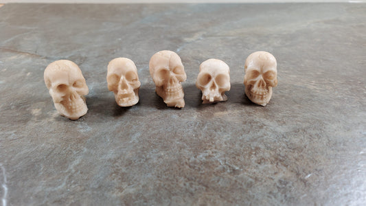 Miniature Skulls Tiny 5 Random 1:12 Scale Halloween Decoration Scale Model Resin
