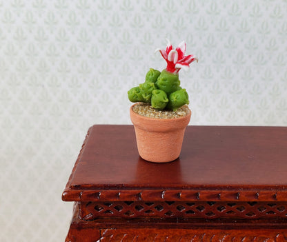 Dollhouse Tall Flowering Cactus Plant in a Terra Cotta Pot 1:12 Scale Miniature