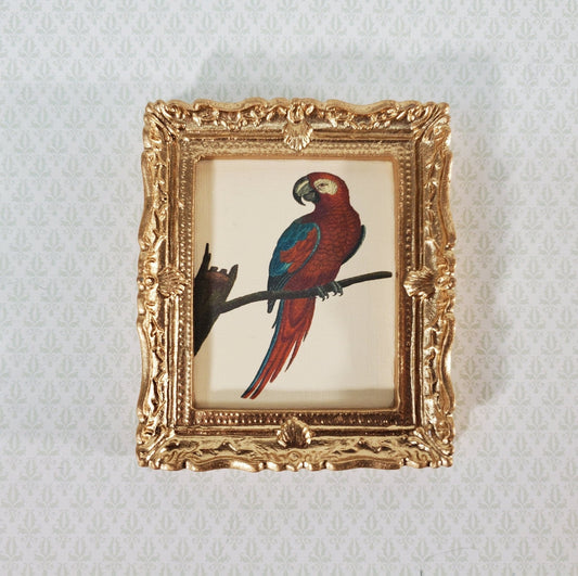 Miniature Red Parrot Vintage Framed Art Print in Gold Frame 1:12 Scale Dollhouse - Miniature Crush